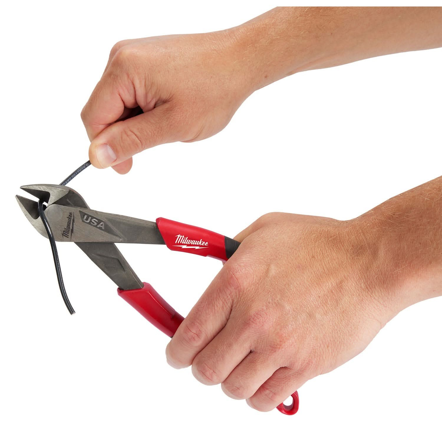 MT556-40374573_7.jpg